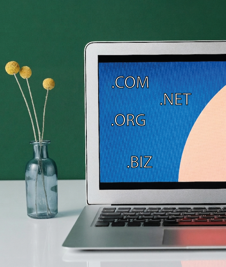 DN Exposer domain marketplace interface